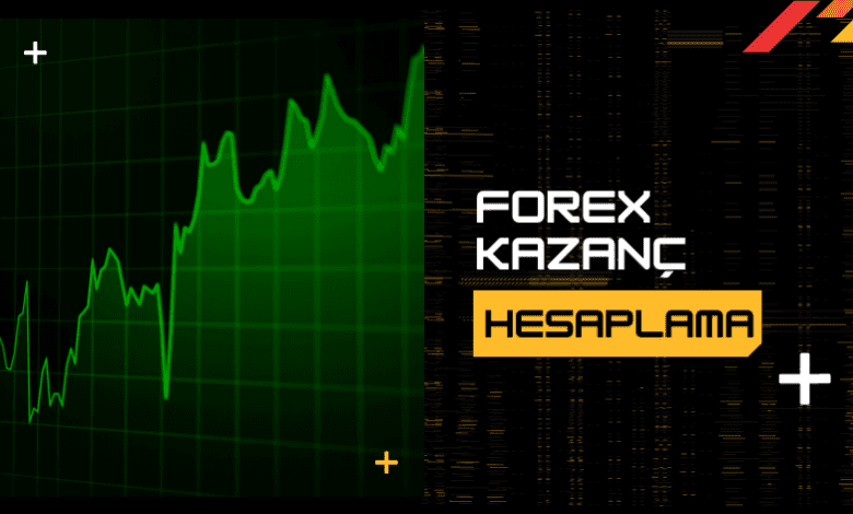 Forex Kazanç Hesaplama