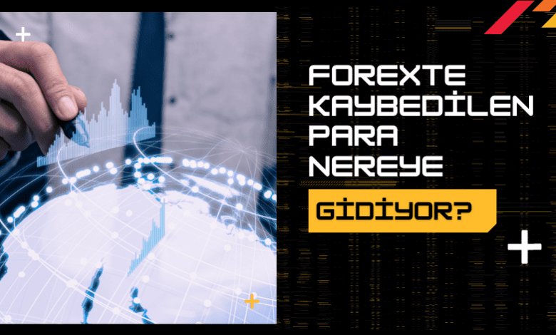Forexte Kaybedilen Para Nereye Gidiyor