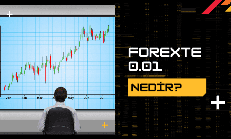 Forexte 0.01 Nedir